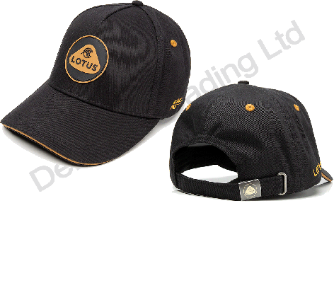 Black & Gold Cap