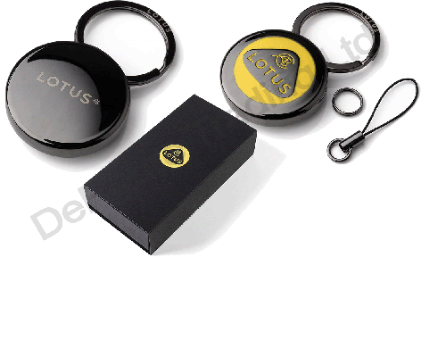 Lotus Roundel Key Ring